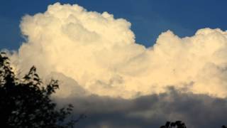 Growing cumulus clouds