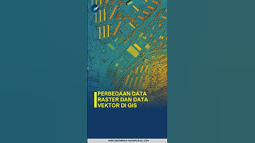 Perbedaan data raster dan data vektor di GIS