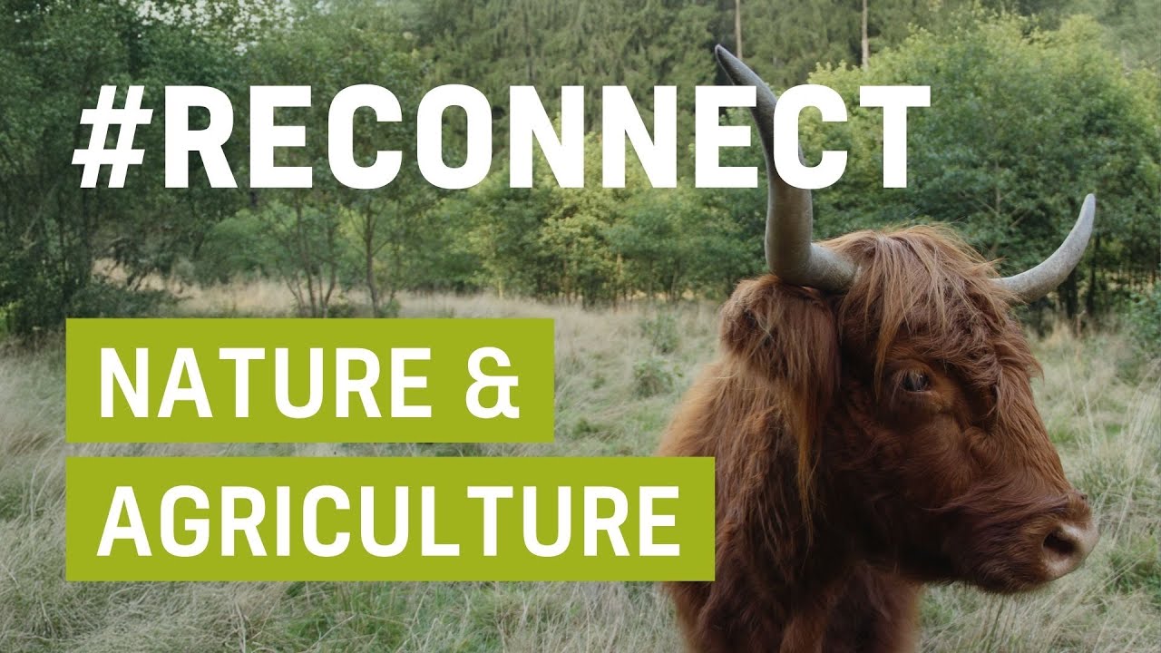 Vinciane et Thibaut construisent une ferme durable