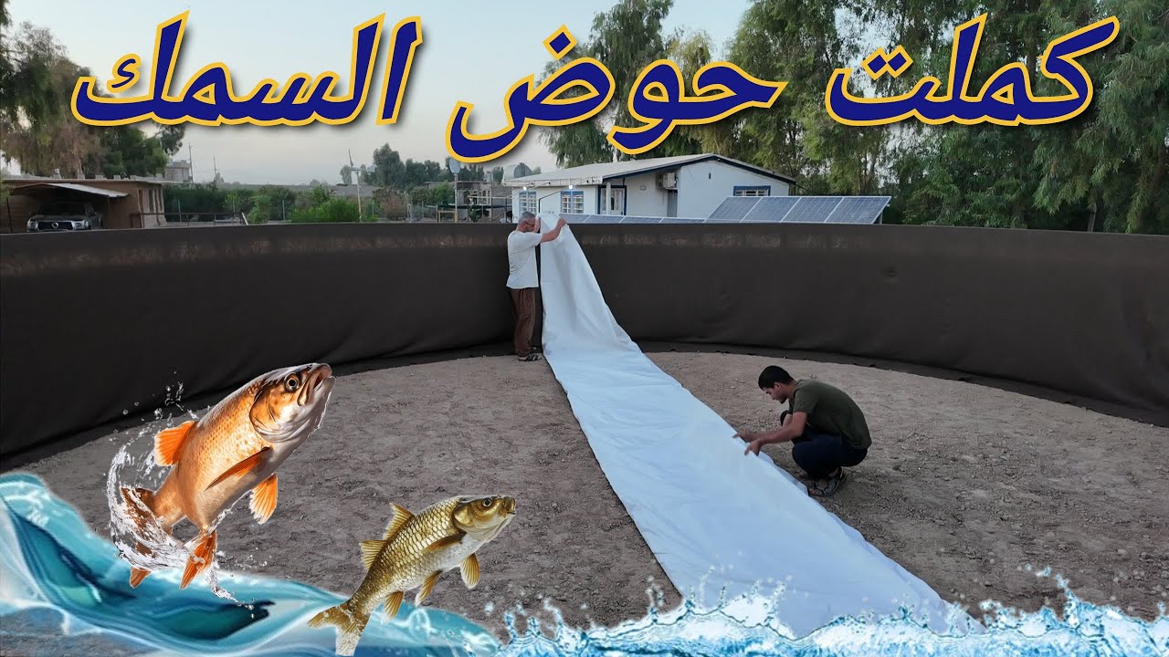 كملت بناء حوض السمك المكثف، تغليف الحوض كلف 800 الف،أسبوع التنظيفات في المزرعة،النعام مرض عندي( 258)