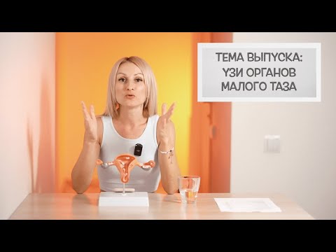 УЗИ органов малого таза