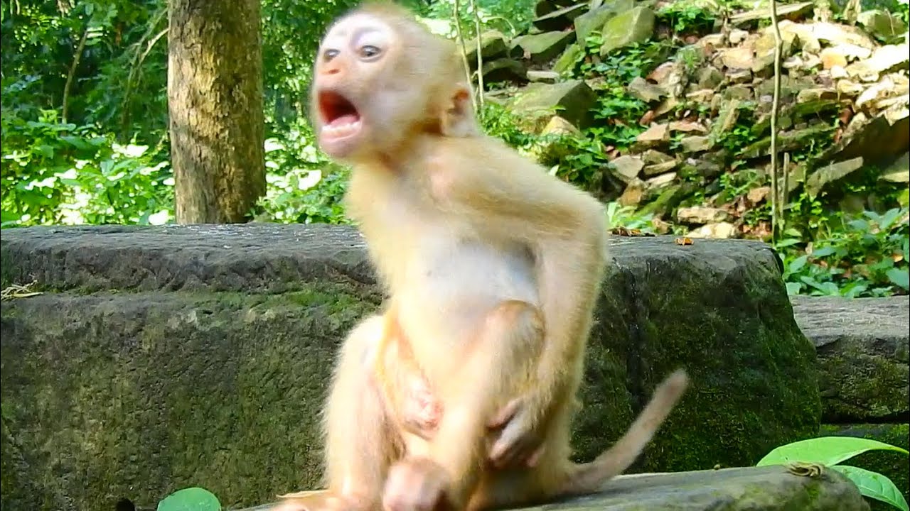 Absolutely Amazing, How Amusing Is Angela Act? - YouTube