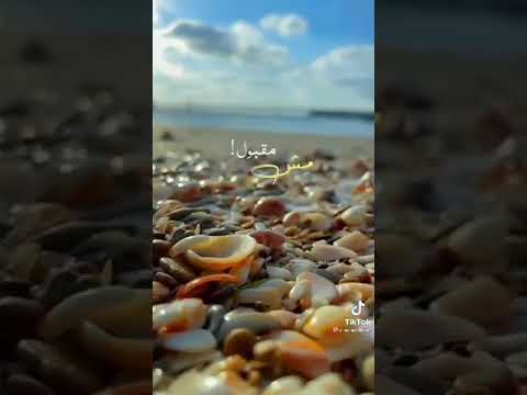 اغنية سكر على مربي