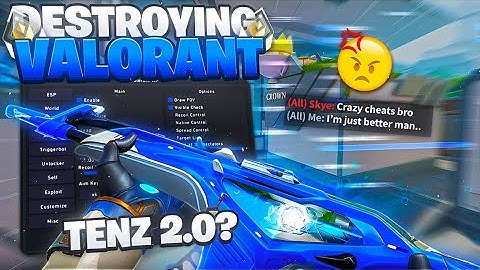 Valorant Cheats | I tried Them For 24 Hours...(INSANE)