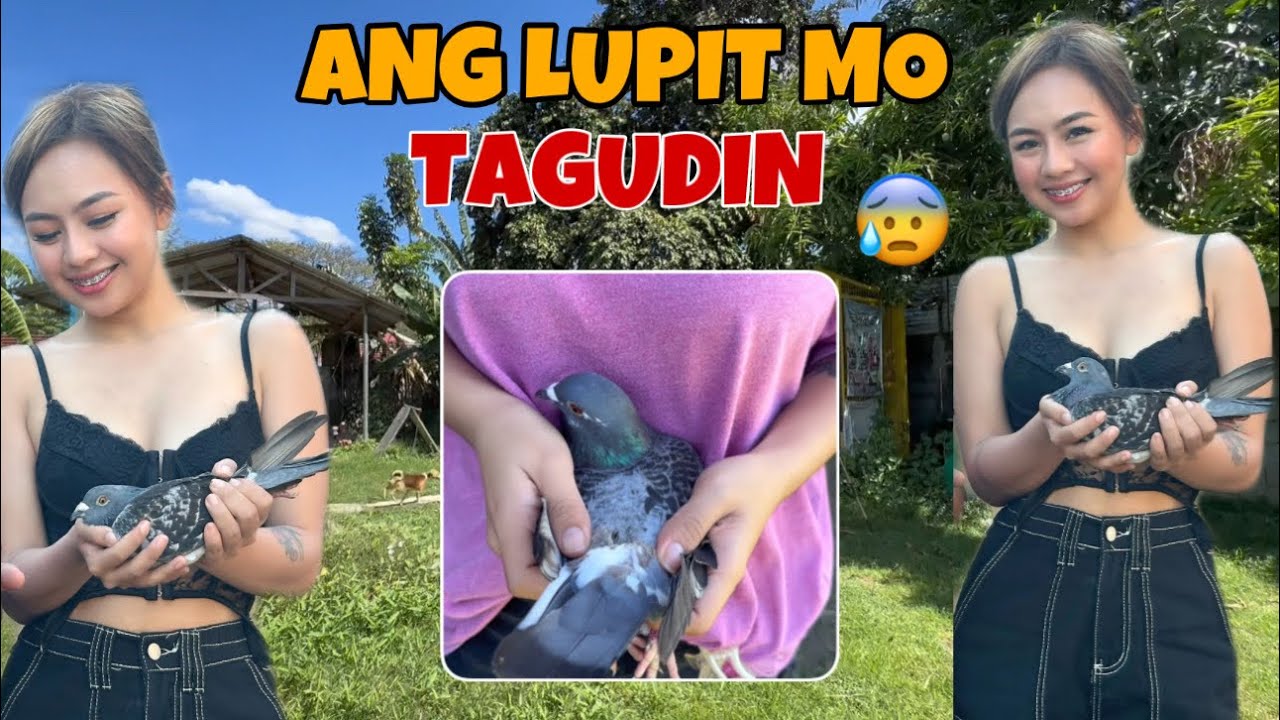 MONCHING, NAGPAHABOL SA FALCON?