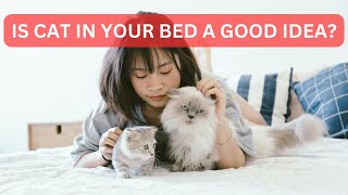 Nighty NightAlone Why Co-Sleeping with Your Cat Might Not Be the Best Idea