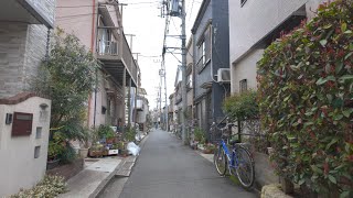 冬の東京 / 郊外を散策 【4K HDR】