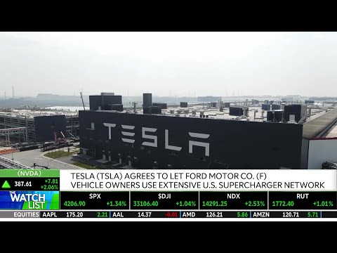 Dan Ives: A.I. Market Could Be Worth $800 Billion & Tesla (TSLA) Growth