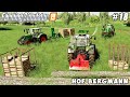 Selling dry grain, making and sale of firewood | Hof Bergmann | Farming simulator 19 | Timelapse #18