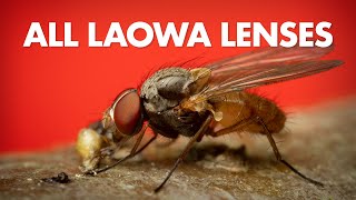 All Laowa Macro Lenses Compared - Which One to Buy?