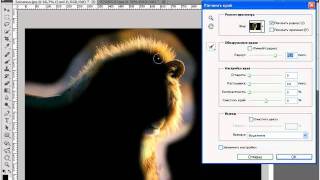 Новое в Photoshop CS5 - 6.Быстрое выделение волос