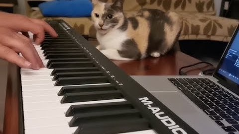 OBS studio with  GarageBand, testing how do them along well on Macbook.