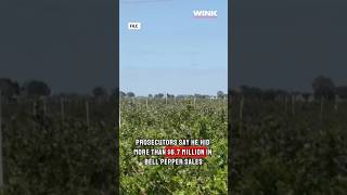 Farmer partnered with Oakes Farms takes plea deal after hiding more than $6.7 million in crop sales