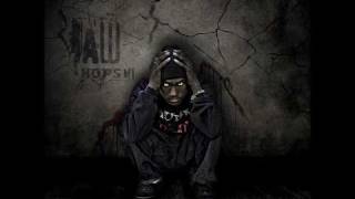 Hopsin - Hot 16's [RAW]