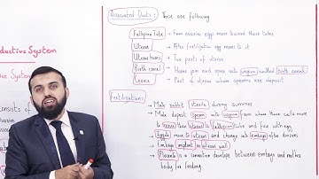 Class 10 - Biology - Chapter 14 - Lecture 13 - Female reproductive system - Allied Schools