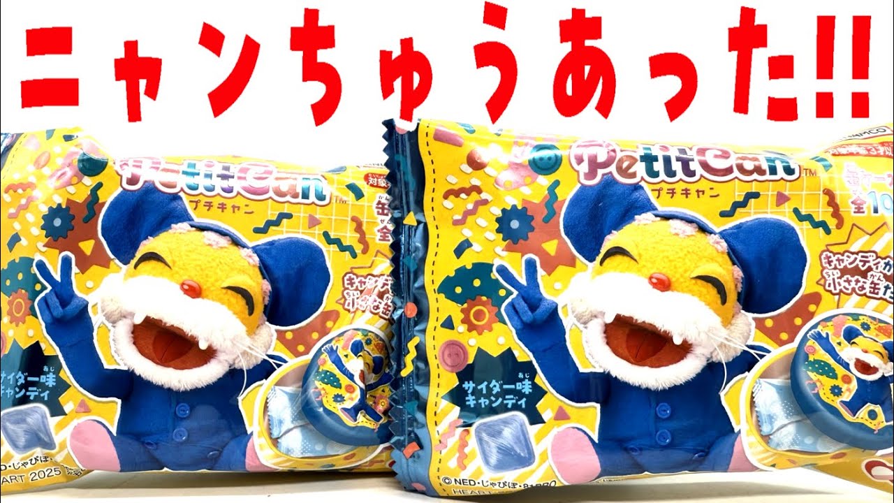 I found a Nyanchoo mini candy! I bought it with the aim of getting