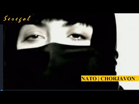 NATO | CHORJAVON (Wegera Kurdî)