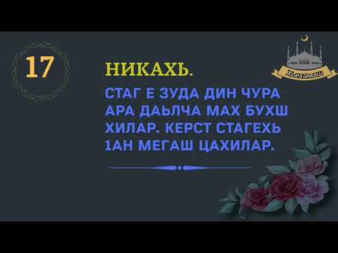 Видео: Аль согтууруулах ундаа нь элгэнд хор хөнөөл багатай