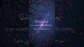 Download Lagu Kullu Nafsin Zaikatul Maut || Beautiful Quran Recitation || #quranrecitation #Tilawat MP3