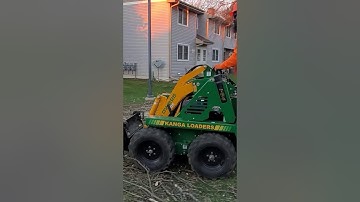 Arborist Work with a Kanga Mini Loader