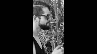 Video Olivia Cesar Ii