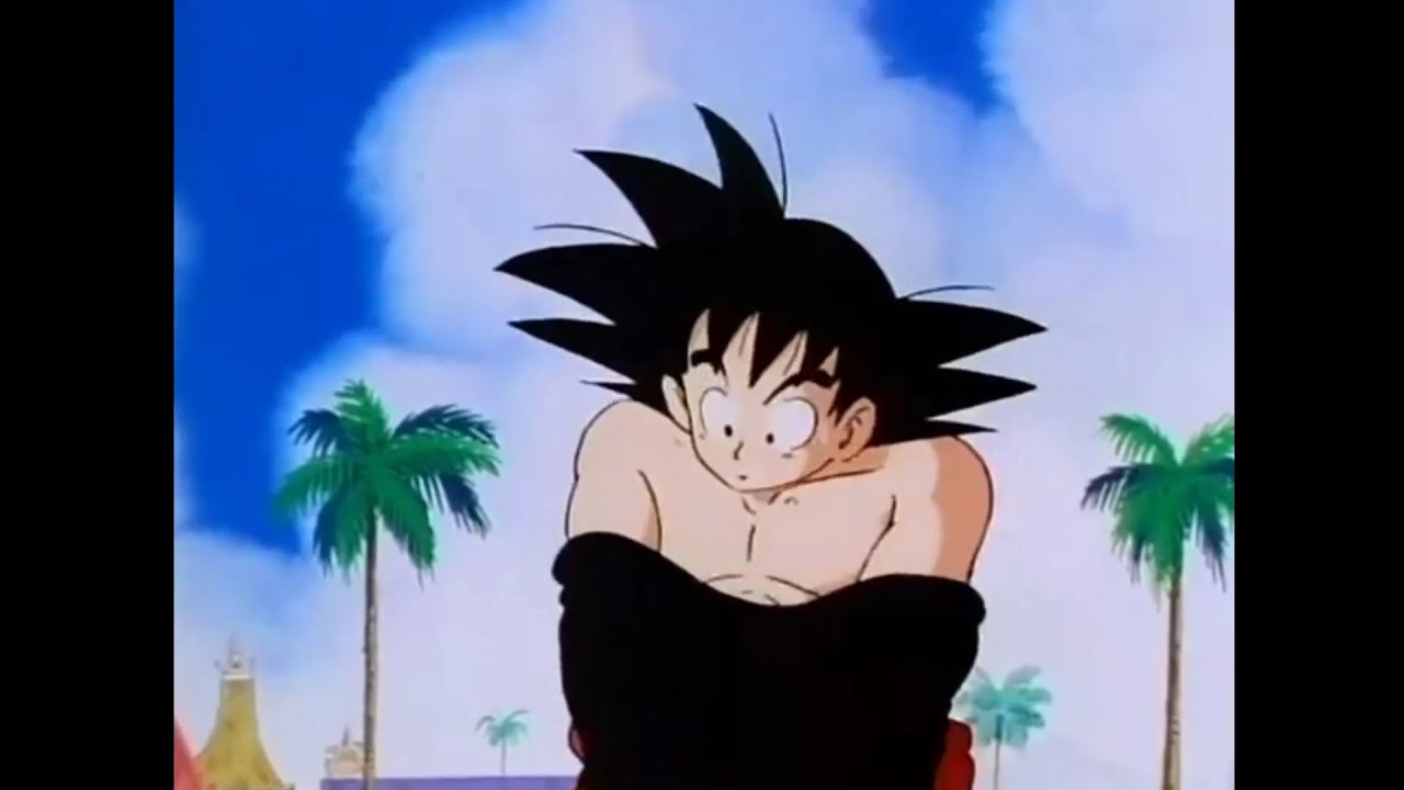 |  Dragon ball z | Goku vs Tien | Goku removes more than 100 kg from his body |