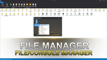 ApparitionNET Studio File/Console Manager Detailed Look