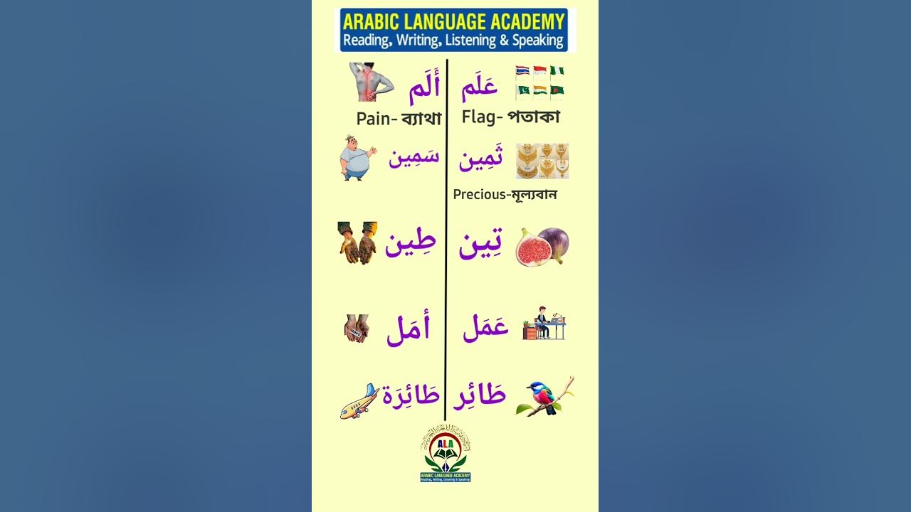 Arabic Language Learning 140 Arabic Word Meaning Arabic Vocabulary arabic-language-learning-140-arabic-word-meaning-arabic-vocabulary