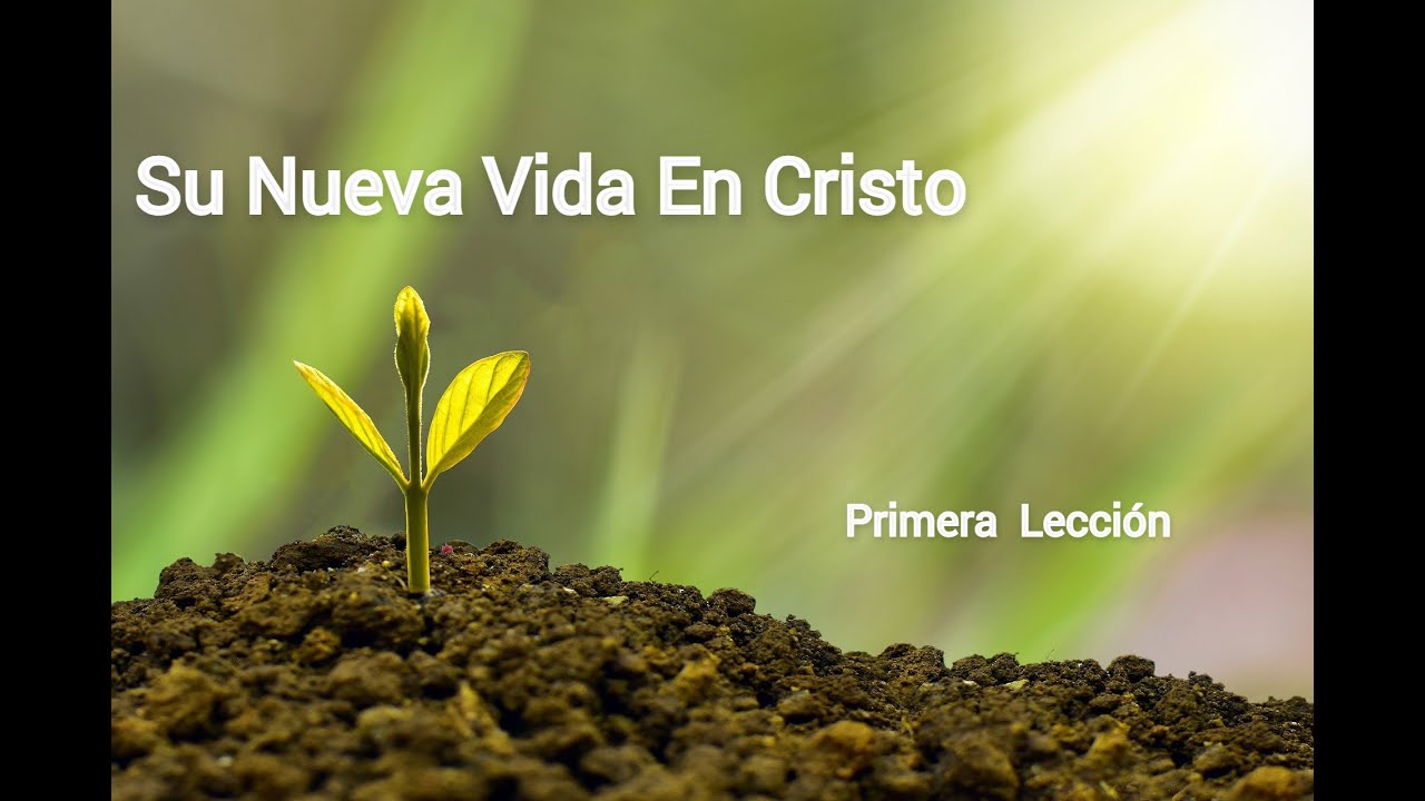 🔴 Estudio Bíblico para Nuevos Creyentes | DISCIPULADO básico para