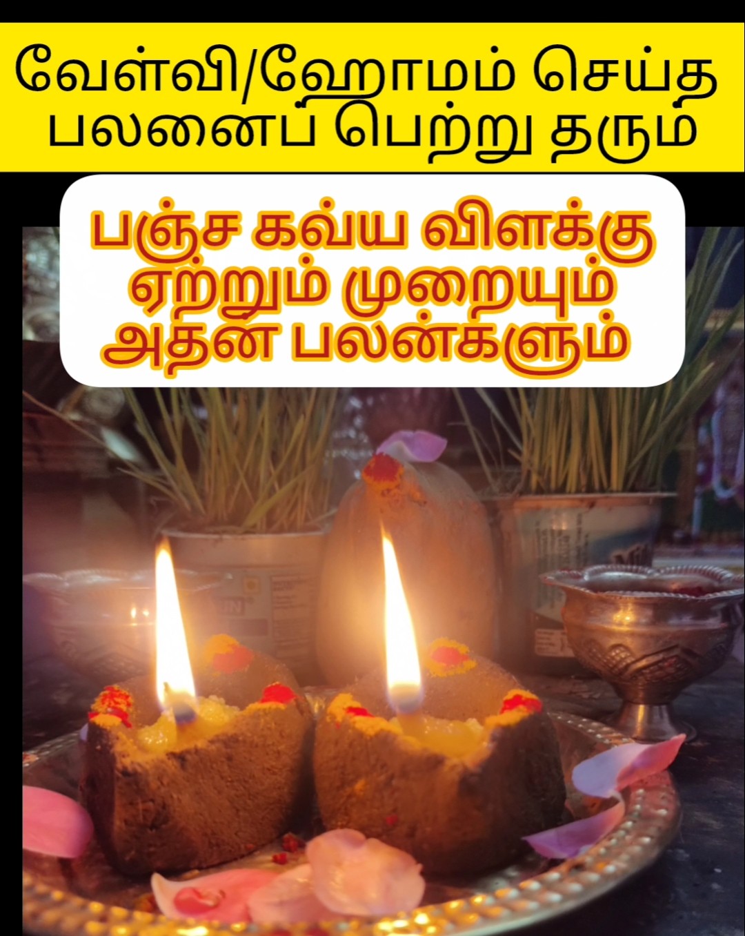 📺வைரல் தகவல்🤩 - ShareChat