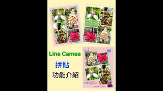 Line Camera教學5(拼貼)[手機錄製]