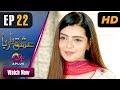 Watch Ishq Ya Rabba - Episode 22 | Aplus Dramas | Bilal Qureshi, Srha Asghar, Fatima | Pakistani Drama Online In HD
