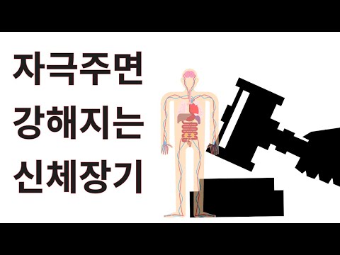 자극을 주면 줄수록 강해지는 신체 장기들.  more use , stronger organ.