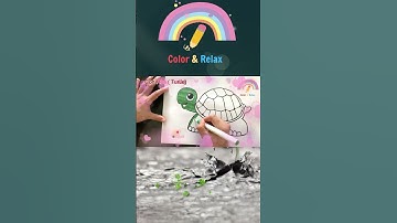 TÔ MÀU CON RÙA - TURTLE COLORING