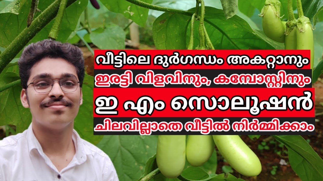 അടുക്കളയിലെ ചേരുവ കൊണ്ട് ഇ എം സൊലൂഷൻ വീട്ടിൽ നിർമിക്കാം #kitchenmystery #EMSolution #compost