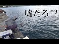 ちょっとだけ釣りして帰るつもりが意外な結果に…!?