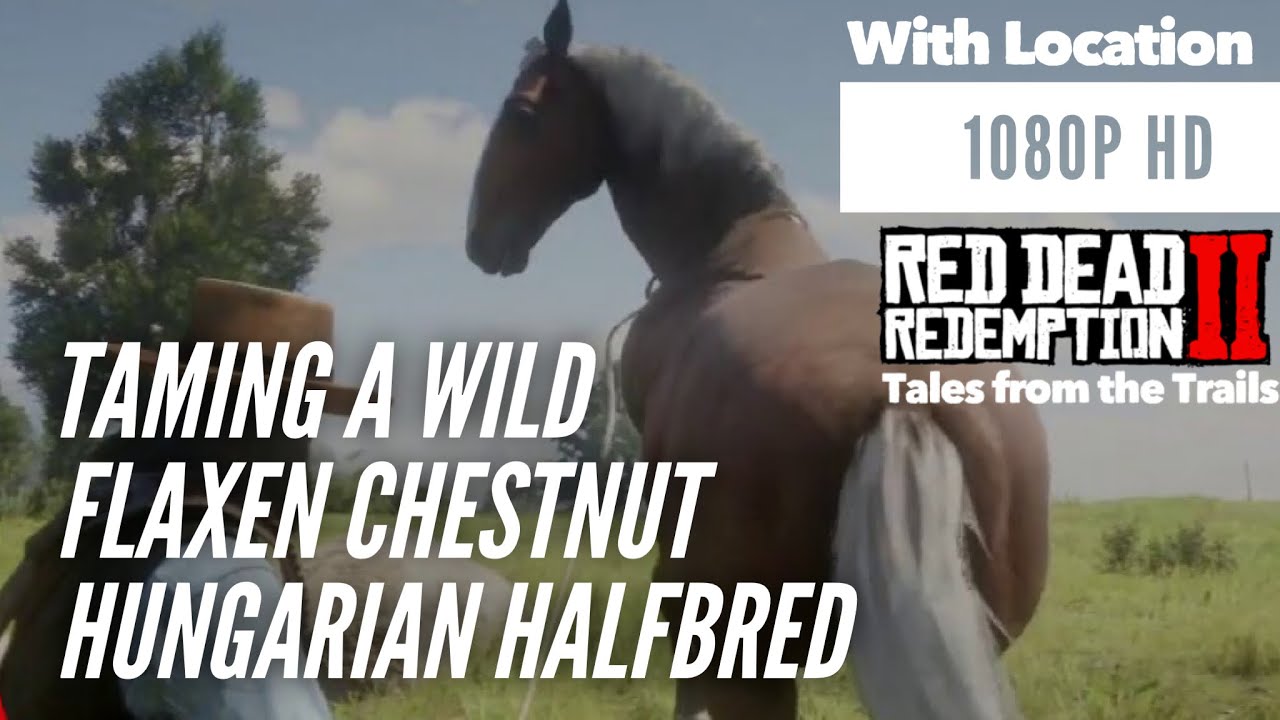 Red Dead Redemption 2 Wild Hungarian Flaxen Chestnut Location