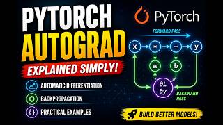PyTorch Autograd: Gradients, Backprop & More