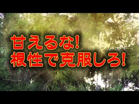 【スカッと爽快】「アレルギーは甘え」という義両親にキレた
