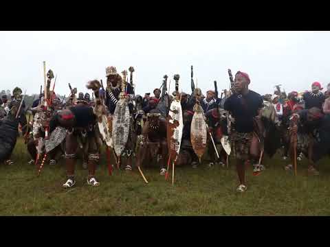 UMHLABA UHLANGENE AMABUTHO KAZULU: ONLY THE BRAVE IN THE WORLD #ZULU #ISIXAXA #AMABUTHO #MBUMBULU