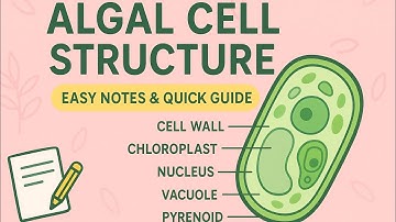 |Cell structure of Algae| Botany|