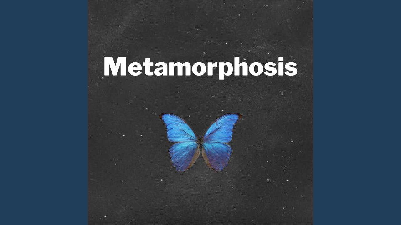 Gremlin - Metamorphosis accords