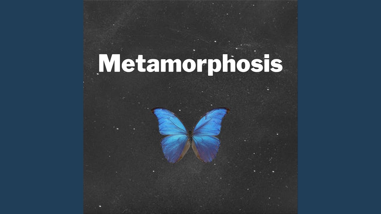 Metamorphosis - YouTube Music