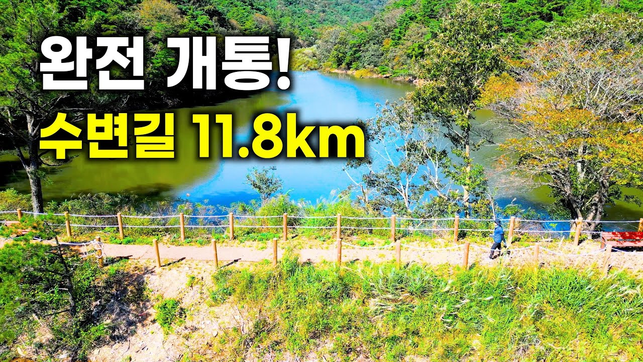 나주호  둘레길 1구간 | 코스 완벽 정리 | 완만한 숲길과 호수를 따라 이어지는 잔잔하고 평화로운 힐링 코스  완전 개통