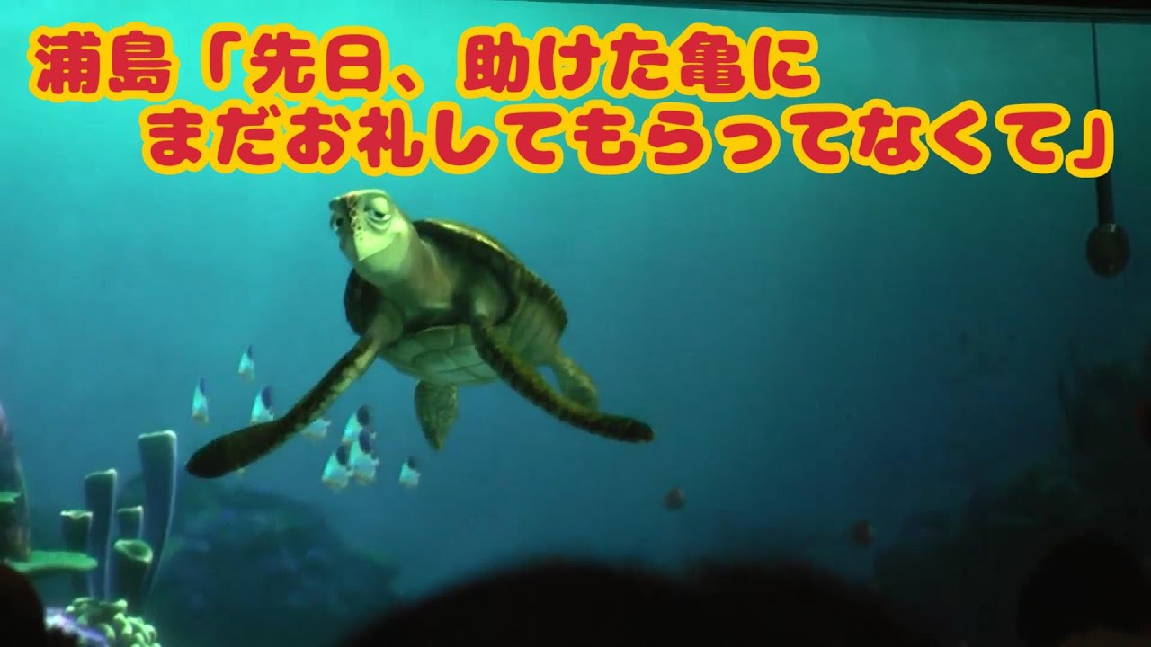 浦島「先日助けた亀にまだお礼してもらってなくて」【タートルトーク