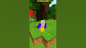OP FACTS 🤯 ABOUT MINECRAFT YOU SHOULD KNOW! | The Nipun Aayush | short | Minecraft