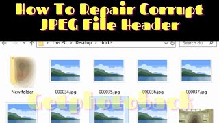How To Repair Corrupt JPEG File Header : Get Photo Back