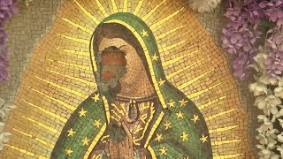 Our Lady of Guadalupe Church Plans Procession and Unity after Vandalism