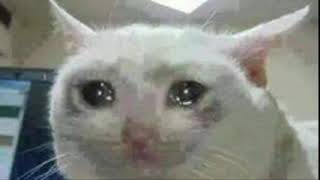 Tiktokdaki O Sayko Şarkı :D (Seni Seviyorum Ama Arkadaş Olarak)