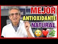 ❤️ ANTIOXIDANTES ❤️ ¿Qué 👉 HIERBA es la 👌MEJOR?